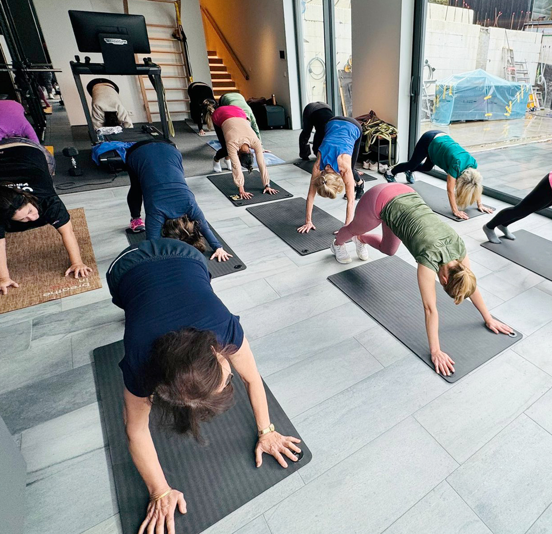 Denise explaining the program